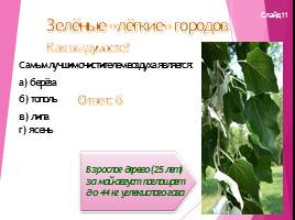 Особенности природных условий в городе, слайд 14