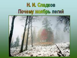 Н.И. Сладков «Почему ноябрь пегий», слайд 1