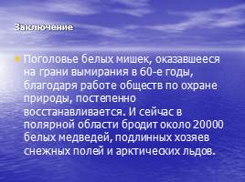 Белый медведь - живой символ Арктики, слайд 16