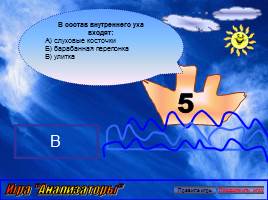 Игра по биологии «Анализаторы», слайд 8