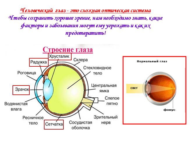 Как понять что зрение ухудшается