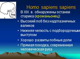 Эволюция человека, слайд 25