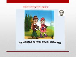 Красная книга Пензенской области, слайд 14