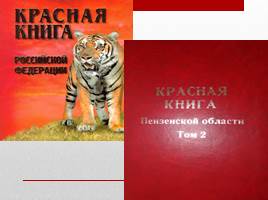 Красная книга Пензенской области, слайд 3