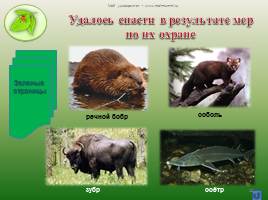 Охрана животных, слайд 10