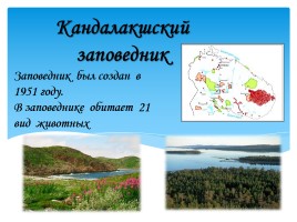 Охрана фауны Мурманской области, слайд 11