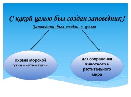 Охрана фауны Мурманской области, слайд 13