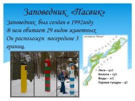 Охрана фауны Мурманской области, слайд 16
