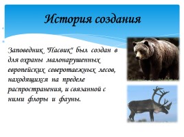 Охрана фауны Мурманской области, слайд 17