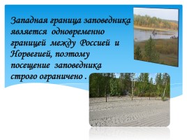 Охрана фауны Мурманской области, слайд 18