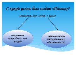 Охрана фауны Мурманской области, слайд 19