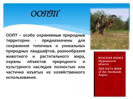 Охрана фауны Мурманской области, слайд 2