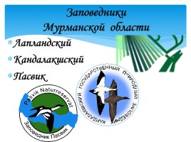 Охрана фауны Мурманской области, слайд 3