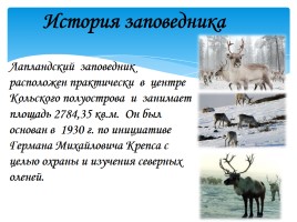 Охрана фауны Мурманской области, слайд 5