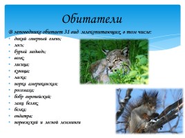 Охрана фауны Мурманской области, слайд 7