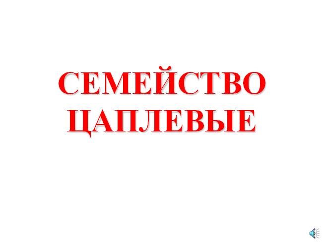 Цапли