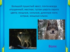 Викторина о животных «Узнай зверя по описанию», слайд 4