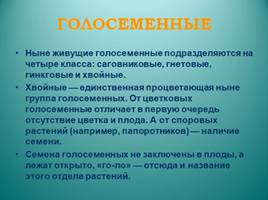 Голосеменные растения, слайд 4