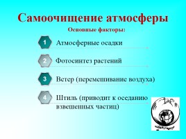 География 5 класс «Значение воздуха», слайд 33