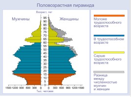 Анализ половозрастной пирамиды, слайд 13