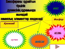 Биосфера (на казахском языке), слайд 12