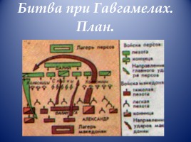 Открытый урок по истории Древнего мира в 5 классе «Завоевания Александра Македонского», слайд 16