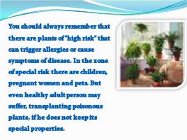 Hazardous houseplants - Ядовитые растения, слайд 3