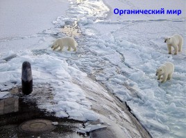 Арктика - фасад России, слайд 16