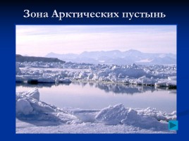 Зона Арктических пустынь