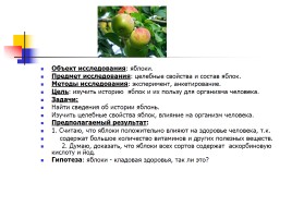 Яблоки - кладовая здоровья, слайд 2