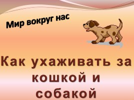 В помощь первокласснику «Как ухаживать за кошкой и собакой», слайд 1