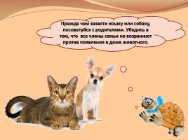 В помощь первокласснику «Как ухаживать за кошкой и собакой», слайд 3