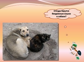 В помощь первокласснику «Как ухаживать за кошкой и собакой», слайд 32