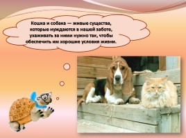 В помощь первокласснику «Как ухаживать за кошкой и собакой», слайд 34