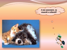 В помощь первокласснику «Как ухаживать за кошкой и собакой», слайд 4
