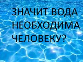 Вода в жизни человека - Вода в жизни растений, слайд 12