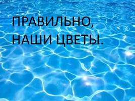 Вода в жизни человека - Вода в жизни растений, слайд 50