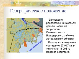 Заповедники России - Астраханский заповедник, слайд 2