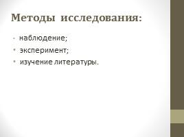 Определение влажности воздуха в квартире, слайд 5