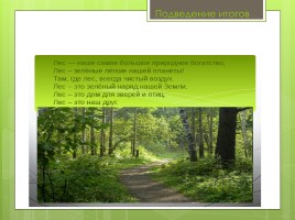 Едем сажать деревья, слайд 15
