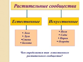 Сообщество живых организмов, слайд 11