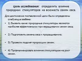 Влияние природных стимуляторов на всхожесть семян овса, слайд 3