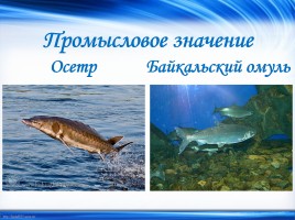 Объекты Всемирного природного наследия «Байкал», слайд 4