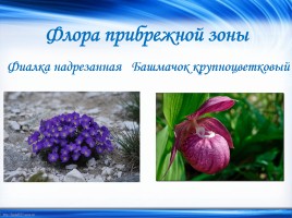 Объекты Всемирного природного наследия «Байкал», слайд 5