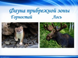 Объекты Всемирного природного наследия «Байкал», слайд 6