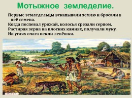 История Древнего мира 5 класс «Возникновение земледелия и скотоводства», слайд 5
