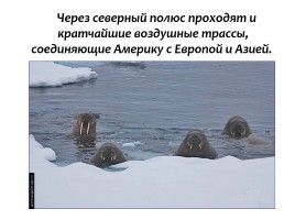 Загадочная Арктика, слайд 11