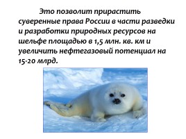 Загадочная Арктика, слайд 13