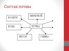 Почва как среда жизни, слайд 6