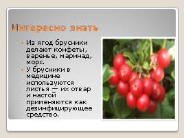Лесные ягоды Эстонии, слайд 4
